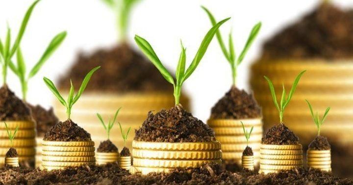 Cover Pilihan Investasi Yang Menguntungkan