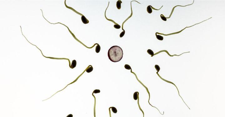 Olahraga Meningkatkan Kualitas Sperma