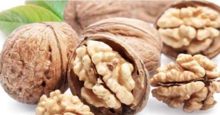 kacang walnut meningkatkan kualitas sperma