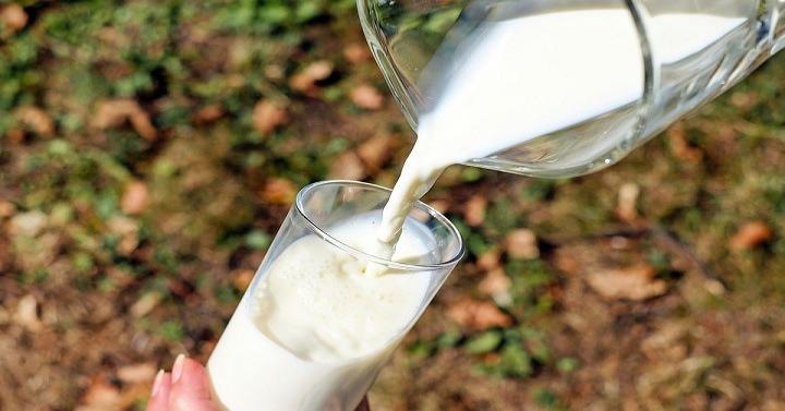 Berikan Si Kecil Susu Dan Berbagai Produk Hasil Olahannya Ya, Moms