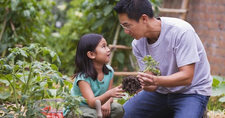 Metode Pendidikan Anak Metode Penerapan Kebiasaan