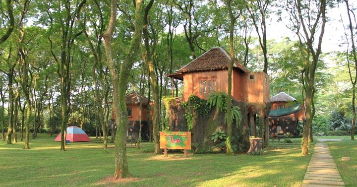 Tempat Wisata Edukatif Di Jakarta Rumah Pohon