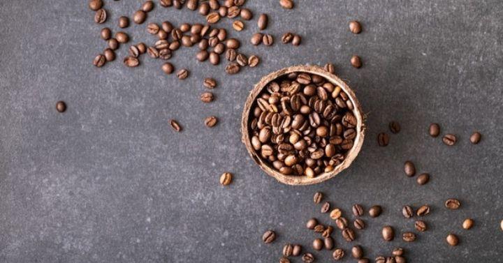 biji kopi robusta terbaik