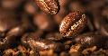 Biji Kopi Robusta Terbaik Di Indonesia Berasal Dari Kota-Kota Ini Lho!