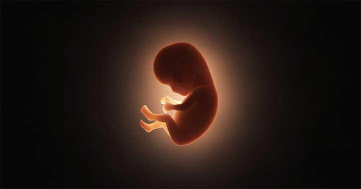perkembangan janin bayi 4 bulan